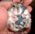 /album/con-ganas-de-reirte-xd/commentarios-chistosos11-jpg/