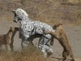 /album/con-ganas-de-reirte-xd/fotos-chistosas-curiosas-21-jpg/