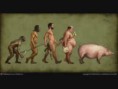 /album/con-ganas-de-reirte-xd/fotos-chistosas-evolucion-jpg/