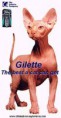 /album/con-ganas-de-reirte-xd/gilette-jpg/