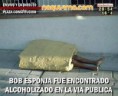 /album/con-ganas-de-reirte-xd/naquisimo-bob-esponja-borracho-jpg/