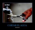 /album/con-ganas-de-reirte-xd/a14fabf70027c327daaa6bcf65e45df82-jpg/